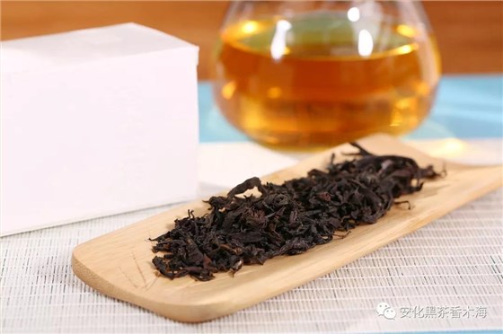 安化黑茶有茶梗，關(guān)于茶梗你知道多少？