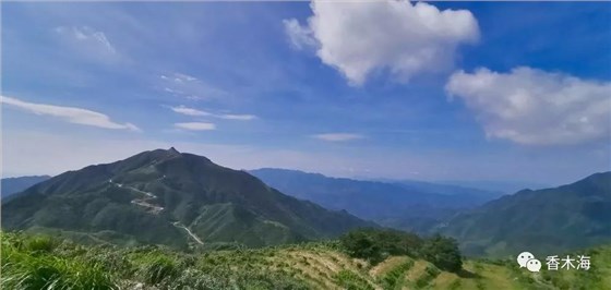 安化黑茶產(chǎn)地在哪些地方？三分鐘讀懂！