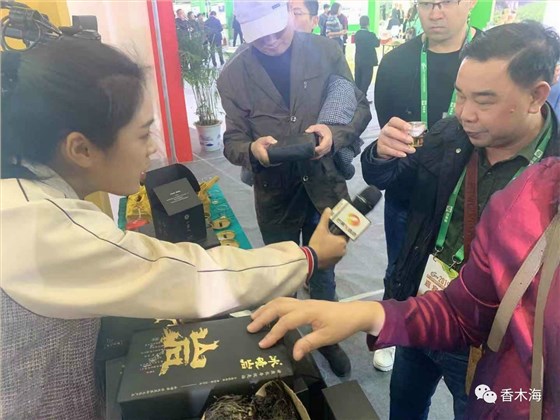 湘品出湘，省長為安化黑茶點(diǎn)贊！