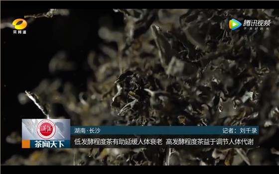 中國(guó)工程院院士劉仲華：如果你是這類(lèi)人，一定要多喝黑茶！